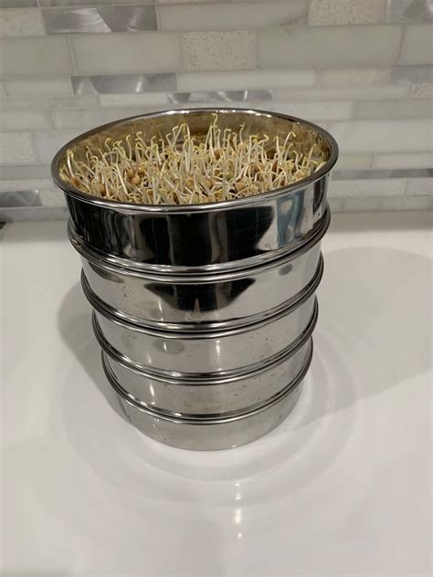 stainless steel seed sprouting kit